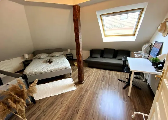 Apartment Strg Center At 10 Min-christmas Market And 10min Eu Parliament-wifi-tv Bischheim