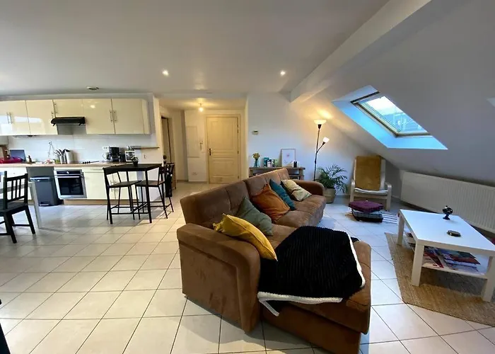 Strg Center At 10 Min-christmas Market And 10min Eu Parliament-wifi-tv * Bischheim